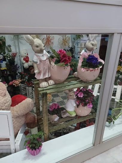 Florista Bizé, Florista em Estremoz