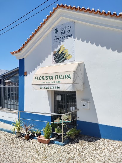 Florista Tulipa, Florista em Vidigueira