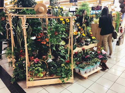 Florista Campos - Intermarché De Valongo, Florista em Valongo