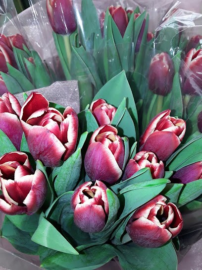 Mira Flores, Florista em Aveiro