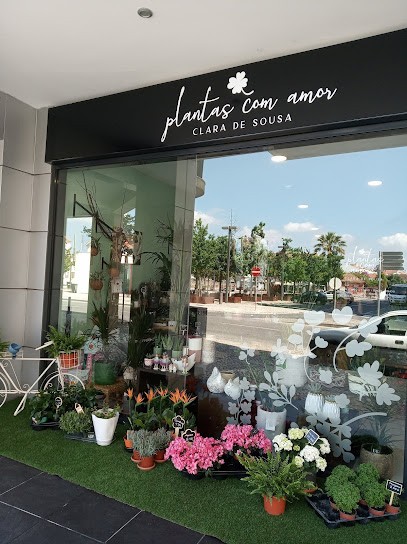 Plantas Com Amor - Clara De Sousa, Florista em Entroncamento