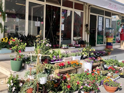 Florista Bela Arte, Florista em Fão