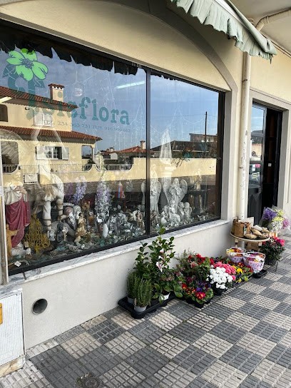 Isisflora, Florista em Gafanha da Nazaré