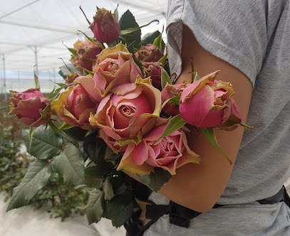 Florisa, Florista em Vila Fria