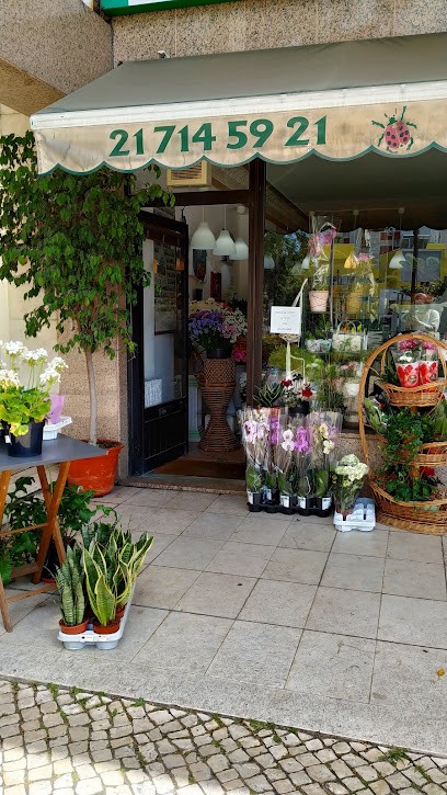 Florista Joaninha, Florista em Lisboa