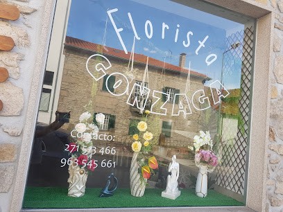 Florista Gonzaga, Florista em Vilar Formoso