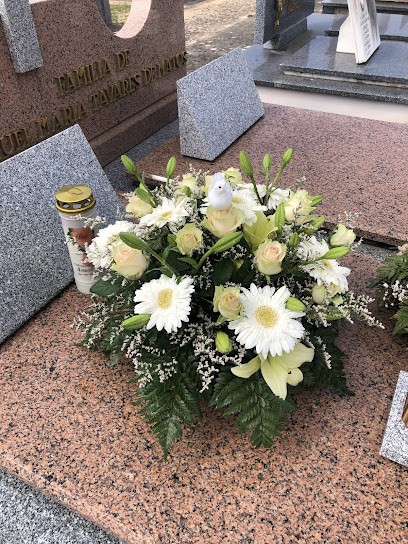 Ana Das Flores, Florista em Murtosa