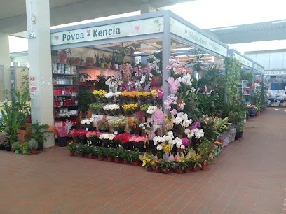 Povoa-Kencia, Flores Ornamentais, Lda., Florista em Póvoa de Varzim