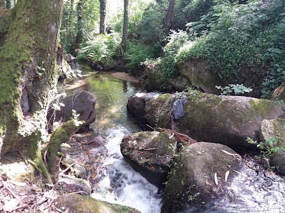 CBDF - Flores ONLINE, Unipessoal LDA, Florista em Santa Marta