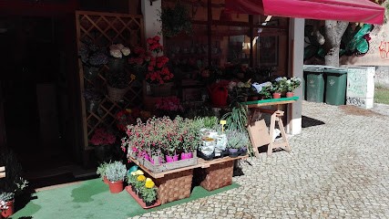 Jardim De Telheiras, Florista em Lisboa