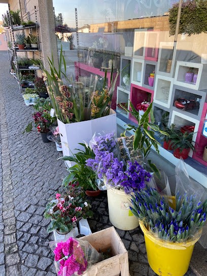Get Flowers, Unipessoal Lda., Florista em Apúlia