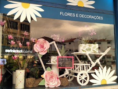 Daisy Florista Das Fontainhas, Florista em Cascais