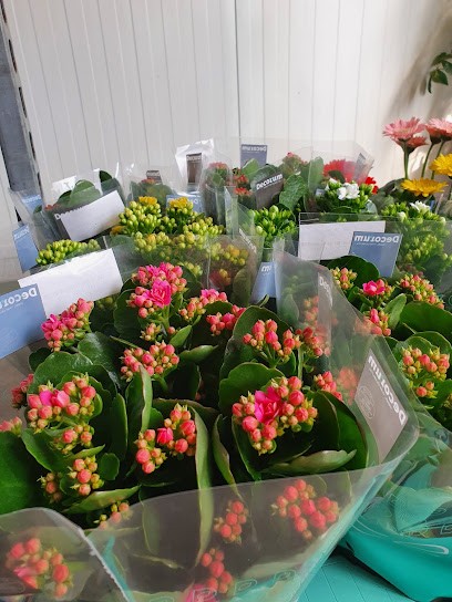 Flores Joli Unipessoal, LDA, Florista em Lobão