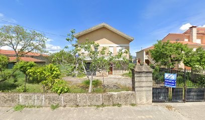 Flaviflor - Comercio De Flores E Plantas, Lda, Florista em Chaves