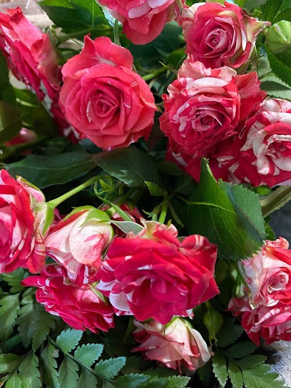 AC Flowers, Florista em Maia