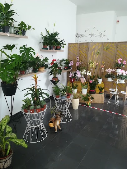 Florista Recanto das Flores, Florista em Figueiró dos Vinhos