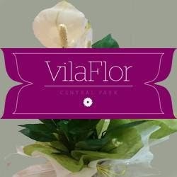 Florista Vila Flor /Flores, Plantas E DecoraçõesLinda A Velha Oeiras Lisboa E Arredores, Florista em Linda a Velha