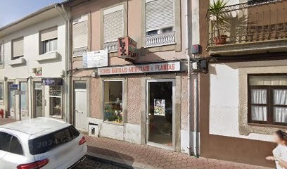 Bela Flor, Florista em Avintes