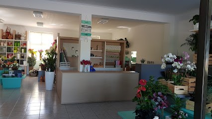 Floryarte, Florista em Melgaço