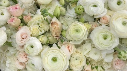 Flores Do Engenho, Florista em Barcelos