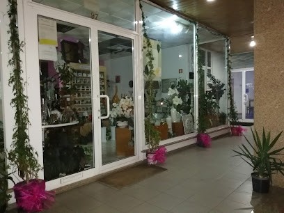 CambraFlor, Florista em Vale de Cambra