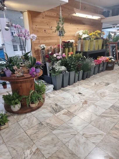Jarros Florista - Comércio De Flores E Decorações, Florista em Portimão