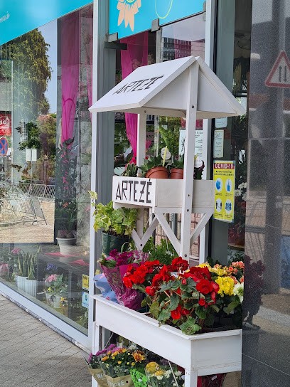 Florista Artezé, Florista em Maia