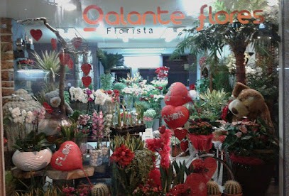 Galante Flores, Florista em Ermesinde