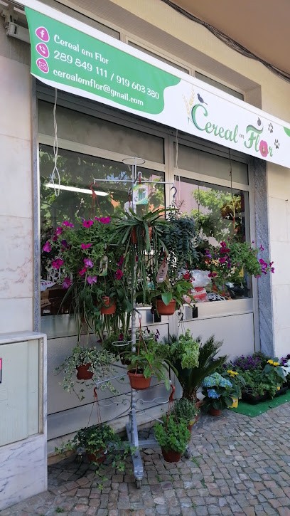 Florista São Brás de Alportel, Florista em São Brás de Alportel