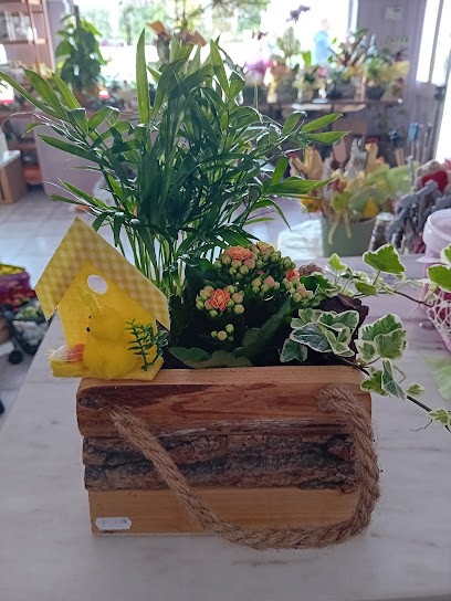 Artflor, Florista em Peniche