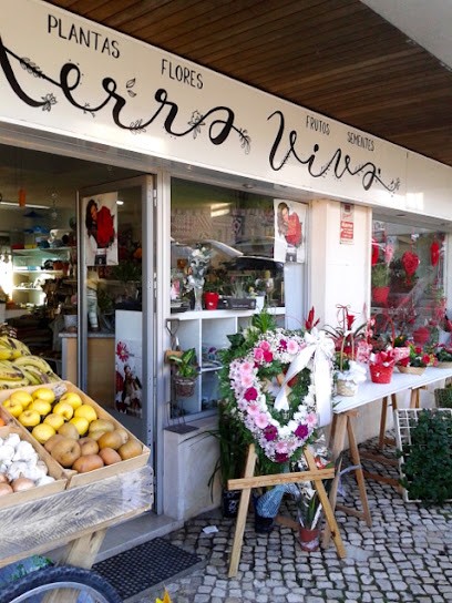 Terra Viva, Florista em Casal de Cambra