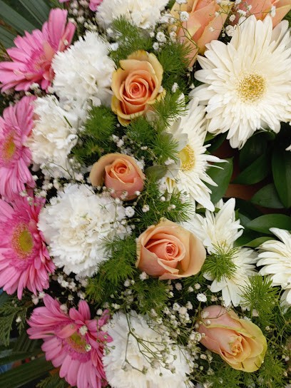 Florista A Rainha Das Camelias, Florista em Amadora