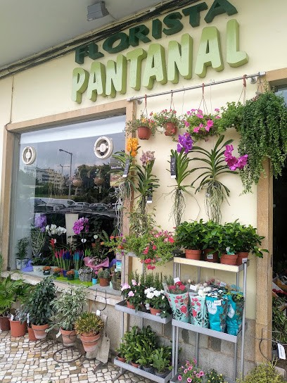 Florista Pantanal, Florista em Faro