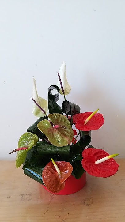 Flor da Seara, Florista em Castro Daire