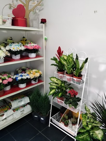 DonaPlanta A Floripolis, Florista em Évora