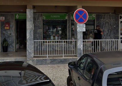 Mariazinha - Maria Alves Peitaço Pereira Lourenço, Florista em Agualva-Cacém