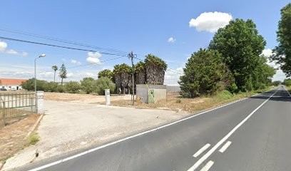 Nelson Flores II Alcochete- Stapoflor, Florista em Alcochete