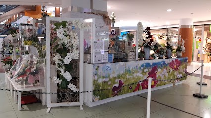 Florista - Cocktail Flower, Florista em Viseu