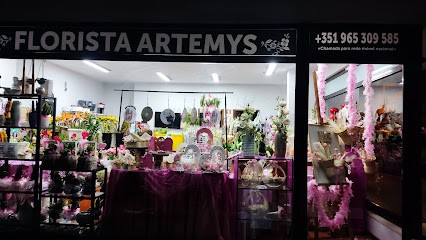 Arthemys Florista By Sandra Braz, Florista em Maia